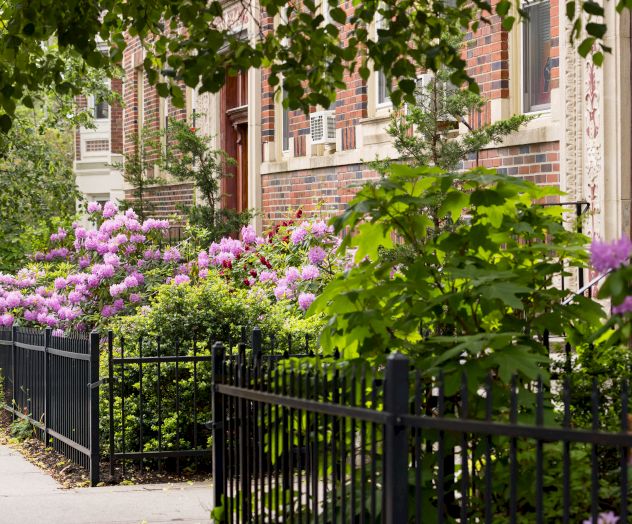 A charming garden gate leads to a brick townhouse, with hanging baskets, potted flowers, and ivy-clad walls framing a cozy, inviting scene.