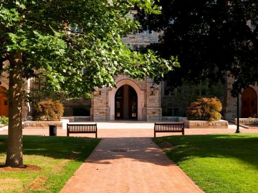 A university-like courtyard: brick walkway, green lawns, trees, and benches leading to a stone arched building in the background.