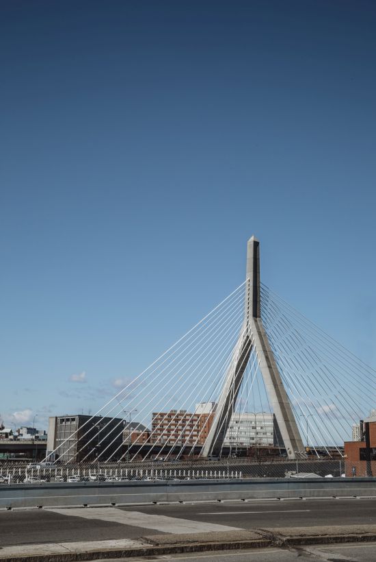 A tall bridge tower with white cables stretches into a clear blue sky above city buildings.