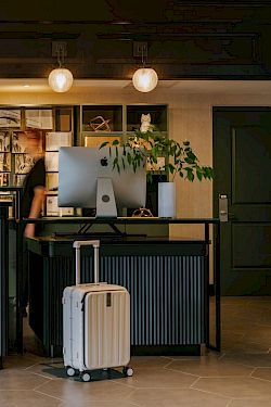 A hotel-style front desk with two computer monitors, warm pendant lights, wall artwork, and a potted plant nearby.
